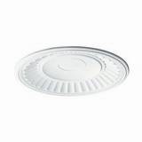 98590 - Hopkins Dome